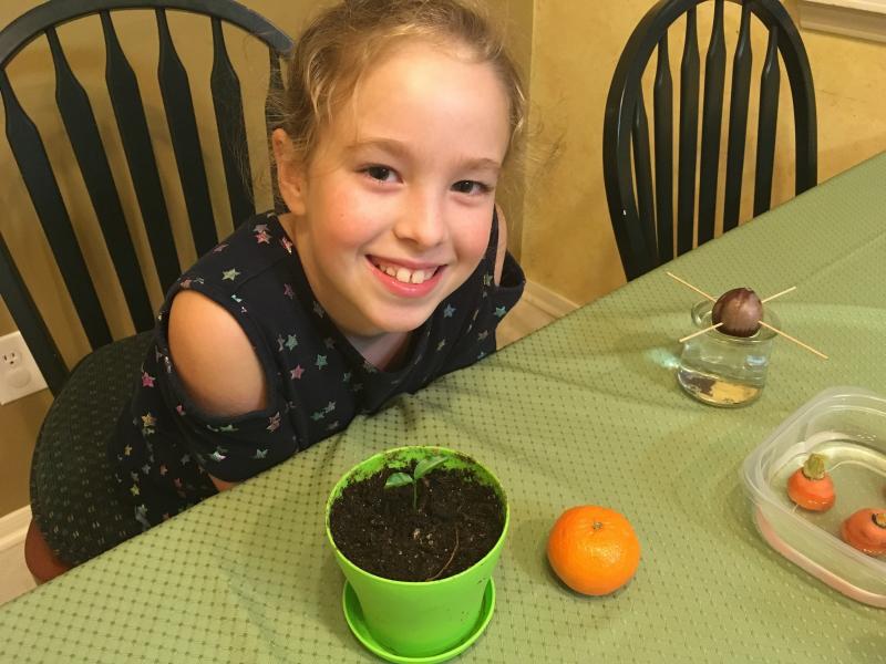 Abby Pounders of The Woodlands, Texas, loves kitchen scrap gardening. Kids of all ages get a kick out of growing things from plant parts. KIDSGARDENING.ORG PHOTO